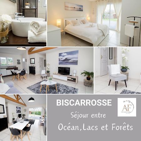 Ravissante Maison Cosy 4* Biscarrosse Proche Lac Exteriör bild